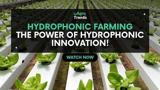 Discover the Future of Farming: Hydroponic Innovations! #hydroponics #AgroTrends #futurefarming