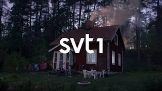 SVT1 Idents (2017) (HD)