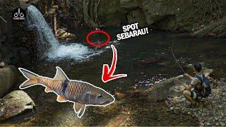 Casting SEBARAU At Bukit Wang Kedah | UPSTREAM FISHING | - EP93