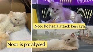 Noor ko heart attack kese aya | Noor paralyzed ho Gai hy