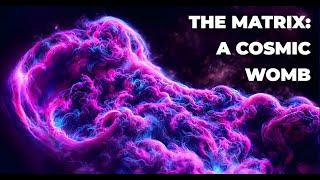 The Matrix: A Cosmic Womb