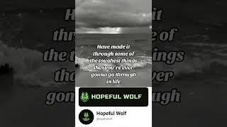 Everything is gonna be okay 2 #hopefulwolf