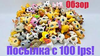 LPS: ПОСЫЛКА С 100 LPS!  (Обзор #1)