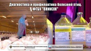 Диагностика и профилактика болезней птиц. ФГБУ "ВНИИЗЖ"