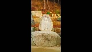 Master Mong's Travel - JinGwanSa Temple