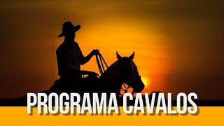 Programa Cavalos na íntegra!