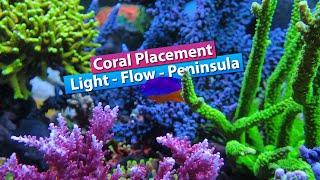 Coral Placement -Lighting, flow, Spacing., Peninsula