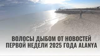 ТУРЦИЯ АЛАНЬЯ ВОЛОСЫ ДЫБОМ ОТ НОВОСТЕЙ ПЕРВОЙ НЕДЕЛИ 2025 ГОДА