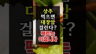 상추가 암 유발? 진실은 이겁니다. 괴소문 믿지마세요 #건강 #건강정보