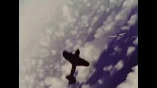 Mitsubishi A6M Zero fighters through the lens of US Navy gun cameras