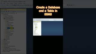 How to Create a Database and a Table in SQL Server Management Studio (P.5)