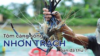 [Ẩm thực - Du lịch] Tôm càng sông Nhơn Trạch Đồng Nai