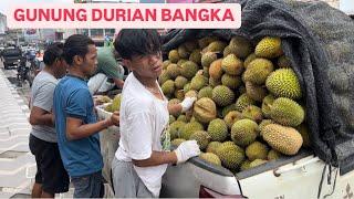 HUNTING DURIAN TERENAK DI INDONESIA DURIAN CUMASI BANGKA #durian #durianviral #food #streetfood