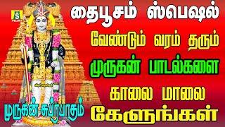 2024தைப்பூசம் அன்று காலை மாலை கேளுங்கள் பழனி முருகன் பாடல்களை கேளுங்கள் முருகன்அருள் கிடைக்கும்