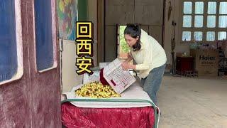 远嫁陕西的湖南女孩，第一次卖大荔冬枣，没达成目标总结经验