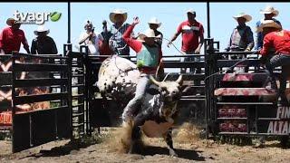 Finca Altamira, criadores de toros de Rodeo.