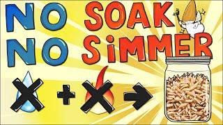 No Soak No Simmer (NSNS) Easy Grain Tek for Millet/Oats/Bird Seeds