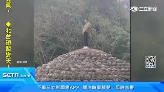 孫悟空都不敢！陸男在樂山大佛頭頂如廁│94看新聞