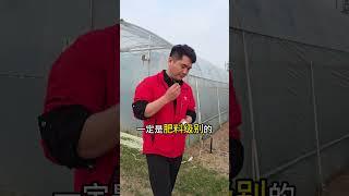 2025年这三种肥料千万不要买，谁买谁上当三农种植 肥料 尿素 复合肥料