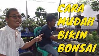 Teknik dan Cara Membuat Bonsai part 1