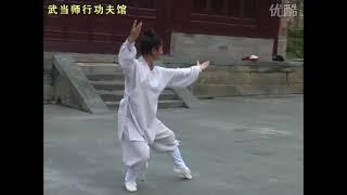 Võ Đang Kungfu Huyền Vũ Quyền | 武当功夫 | 玄武拳 | 李树青演练 | Thái Cực