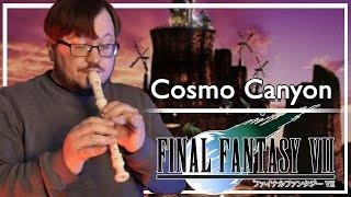 Final Fantasy 7 - Red XIII and Cosmo Canyon