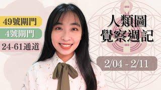 人類圖覺察週記｜02/04-02/11｜Yoko Tarot｜49 號閘門、4 號閘門、24-61 通道