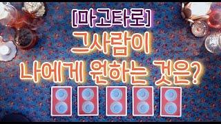 [타로/타로카드] 그사람이 나에게 원하는 것은?  [마고로즈]의 마고타로