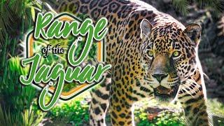 Zoo Tours: Range of the Jaguar | Jacksonville Zoo