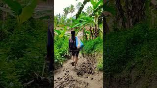 Living in the Philippines Rural Vlog Philippines #lifeinthephilippines #farmer #farmerslife #yt