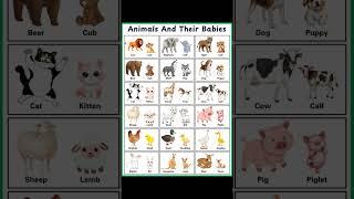 List of Animals and their babies name #english #englishwords #englishvocabulary #wordmeaning