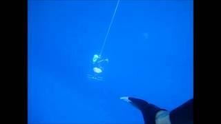 William Winram - Warmup dive for 145m variable freediving world record