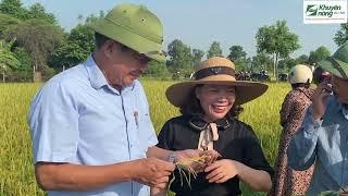 PS Nông nghiệp hữu cơ nâng cao giá trị nông sản