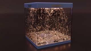 Whisky fountain fluid simulation