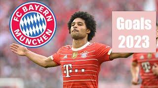 Serge Gnabry - All 2023 goals