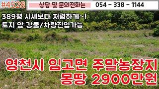 #4528 금액2900만원/ 영천시 임고면 주말농장지 매매/389평 시세보다 저렴한가격/도로접/토지앞 강물/텃밭하실분/5천이하/#영천주택#영천부동산#054-338-1144