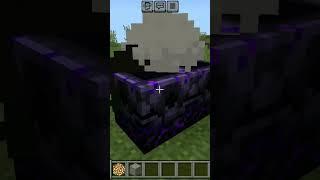 #minecraft  build hack#gaming #coolgamer  