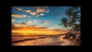 Summer Chill House Mix 10 Hours -Best Relaxing Music