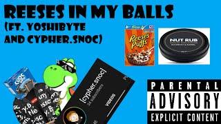 Drip Tarts - Reeses In My Balls (Ft. Yoshibyte & Cypher.Snoc)