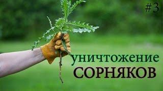 Как избавится от сорняков на участке...