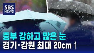 [날씨] 중부 강하고 많은 눈…경기·강원 최대 20cm↑ / SBS