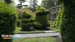 Exploring Green Animals, Rhode Island’s historic topiary garden | Rhode Island PBS Weekly