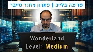 פריצה בלייב | פתרון אתגר סייבר | THM Wonderland