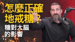 你知道怎麼正確地戒糖嗎？戒糖方法不對還有反效果？！｜腦神經學｜Dr Andrew Huberman #無常有生