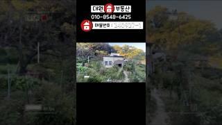 양평전원주택 / 매매2억3천 / 용문면 2억초반 아방궁주택 2차선 100미터 / 양평급매물 / 대원부동산 240927-1