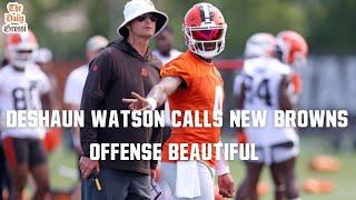 DESHAUN WATSON SAYS NEW BROWNS OFFENSE IS BEAUTIFUL - The Daily Grossi