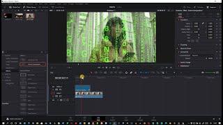 Effetto Matrix per video e testi aggiunto con DaVinci Resolve