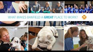 Banfield Pet Hospital - A Great Place to Work