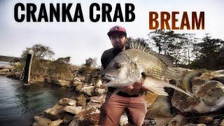 BIG BREAM ON CRANKA CRABS