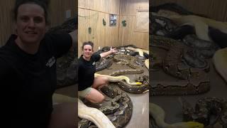 What’s in the secret snake room?